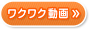 NN